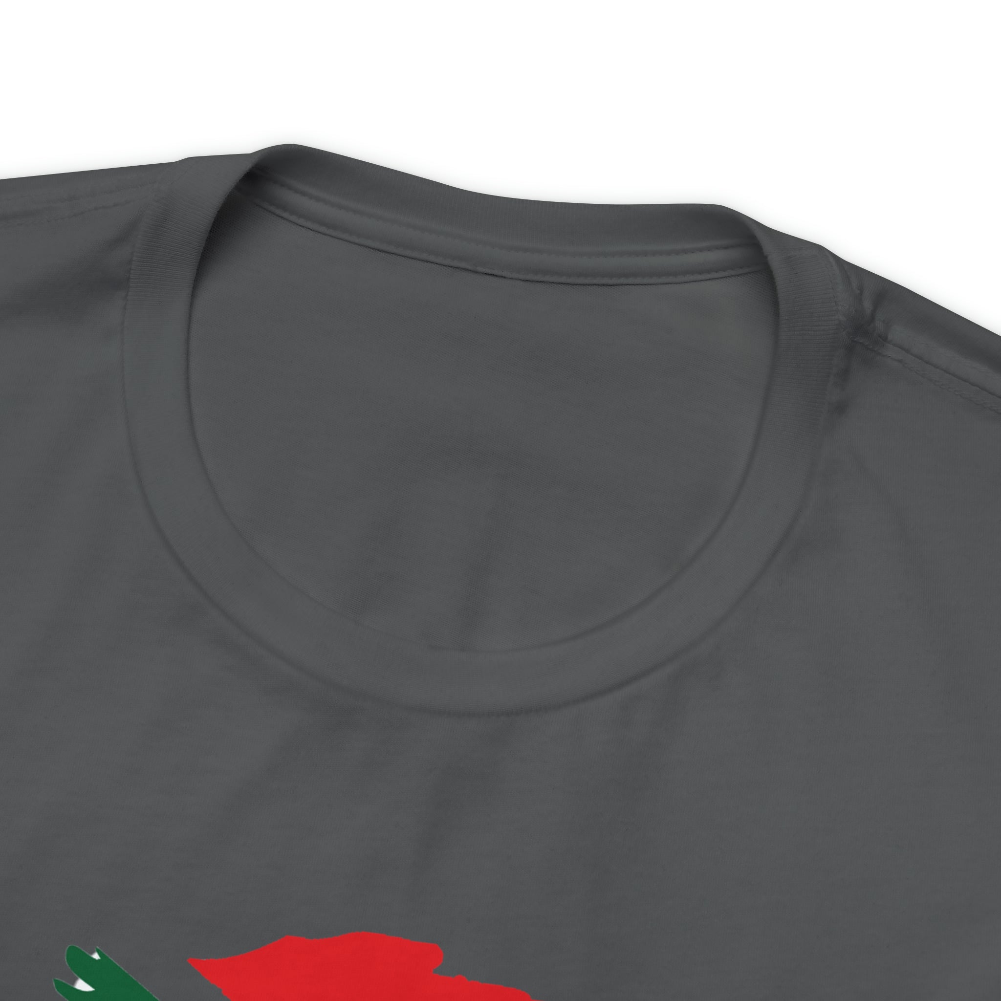 SA Flag Unisex Jersey Short Sleeve Tee